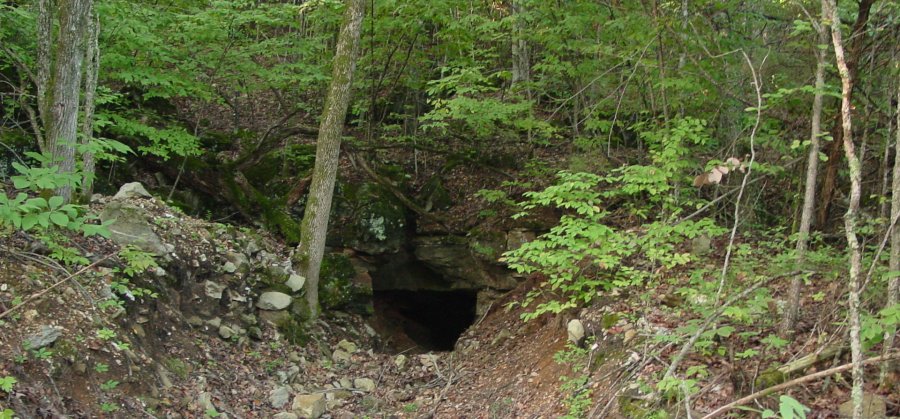 http://www.snakesandstuff.com/grotto/4.jpg